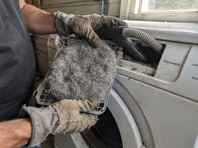 Cleaning Dryer Lint Trap in Dana Point
